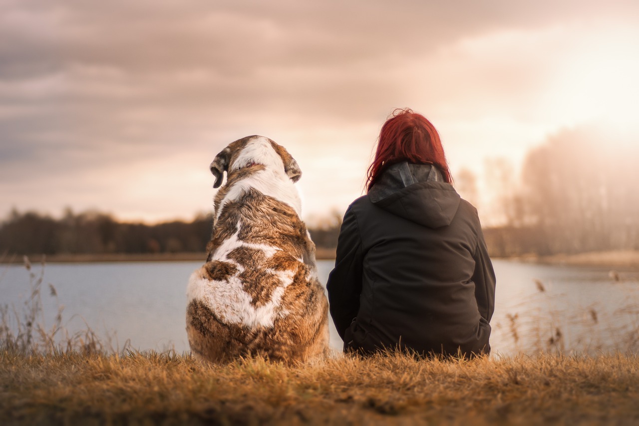 Les différents types d'alimentation pour le chien : choisir ce qui convient à votre compagnon 